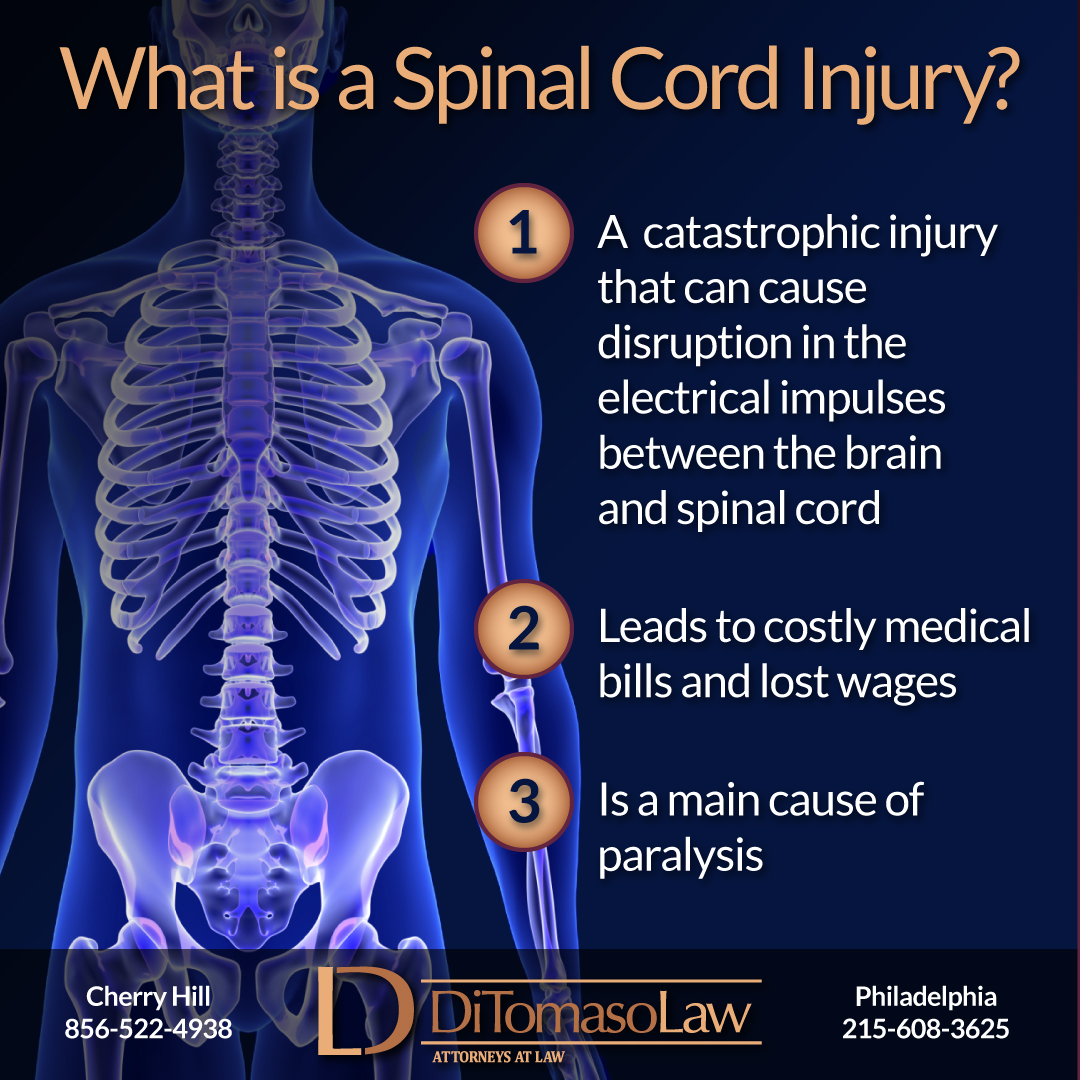 Spinal Cord Injury Infographic